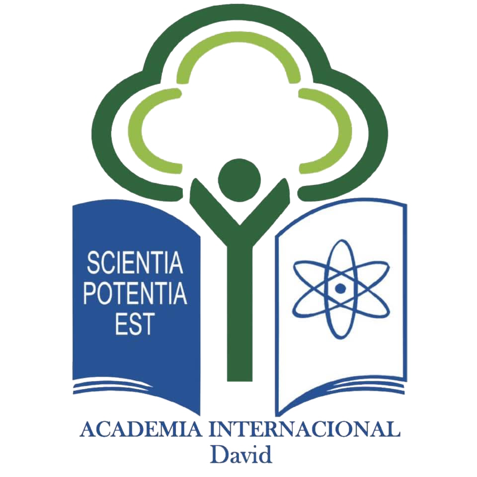 Logo Academia Internacional
David y Boquete